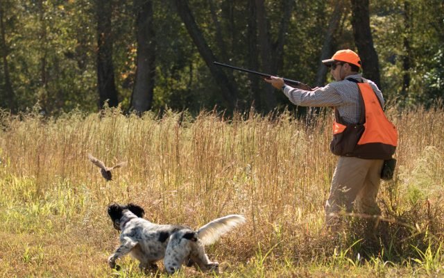 hunter-2-640x400